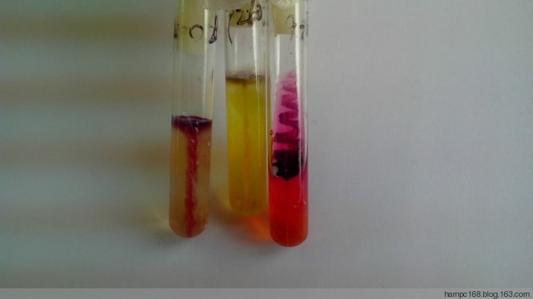 动力试验 双糖 O-F.jpg